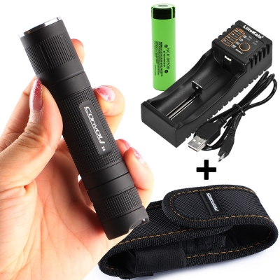 Holster